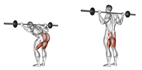 Stiff leg barbell good morning sale